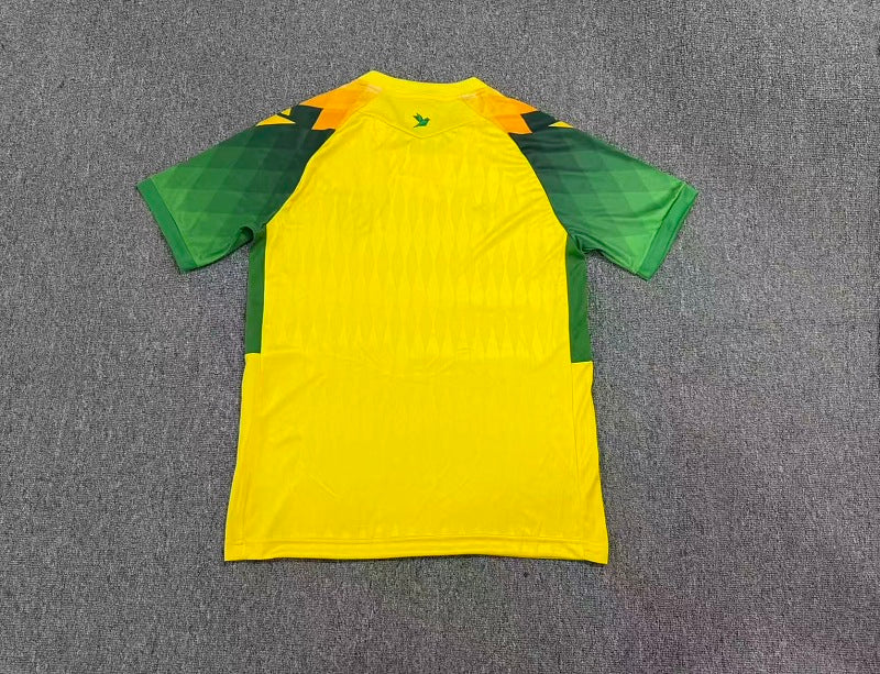 FC Nantes - Home - 26/27 - Adults — back