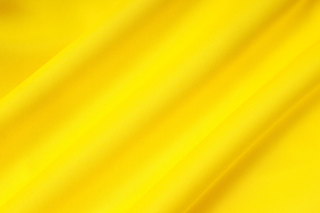 Borrusia Dortmund - Tracksuit - Adults