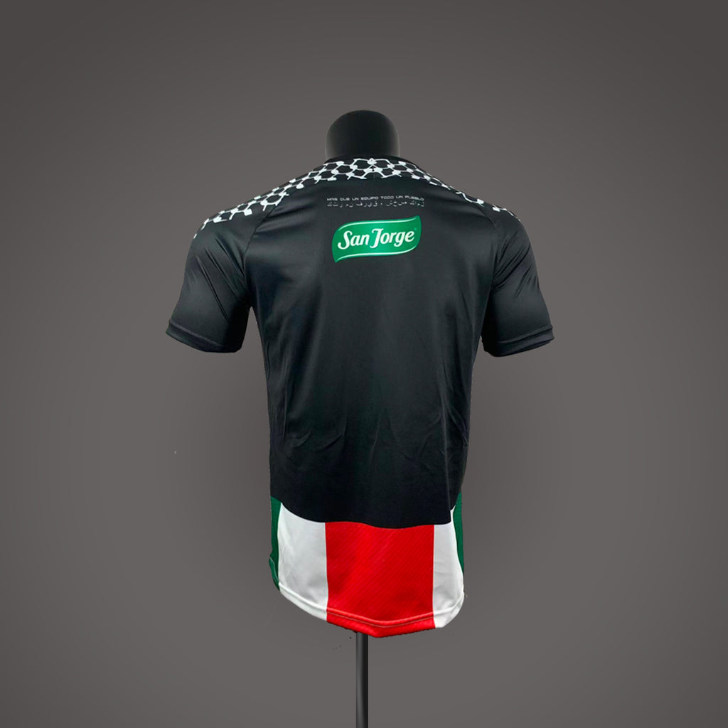 Club Deportivo Palestino - Home - 2026 - Adults
