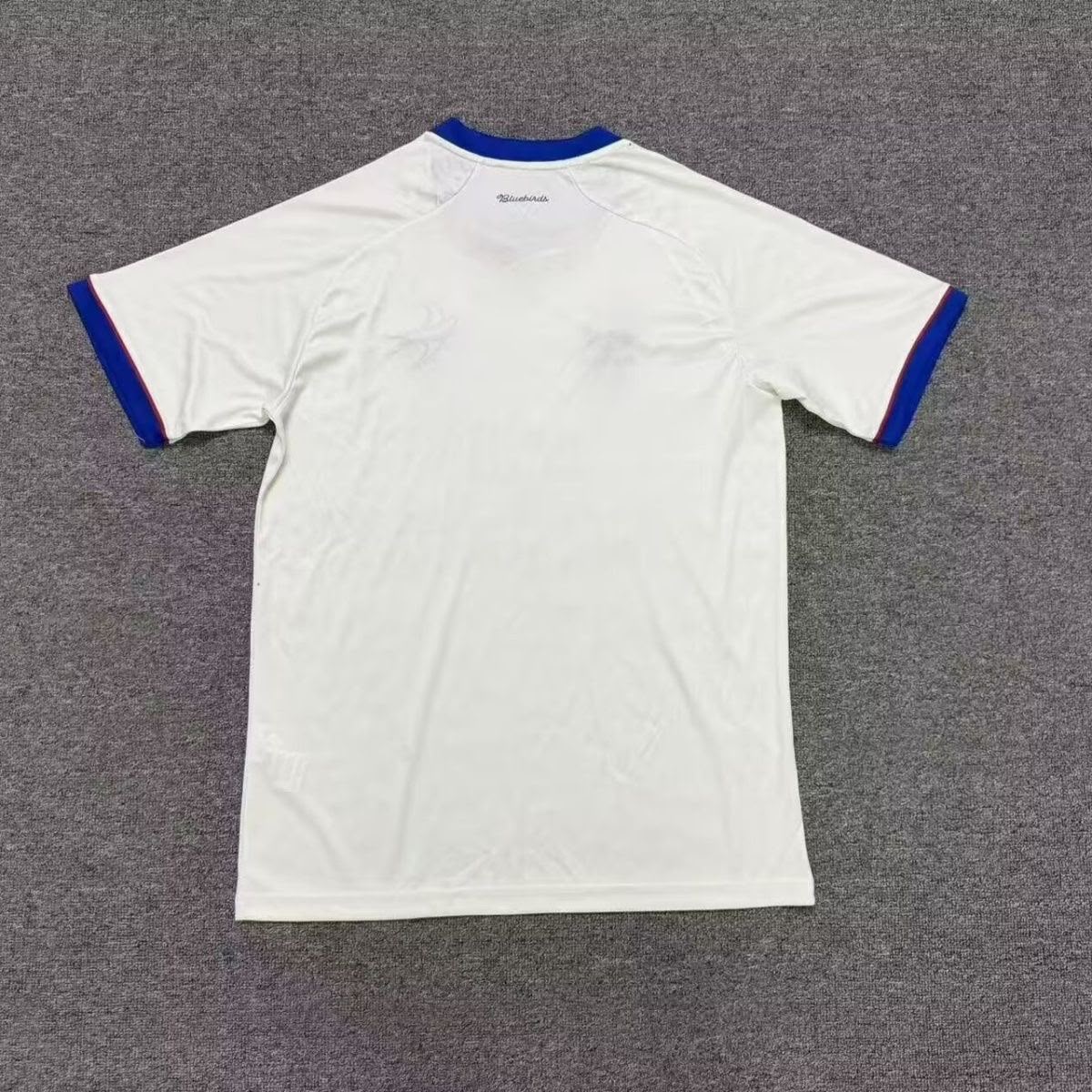 Cardiff City - Away - 26/27 - Adults