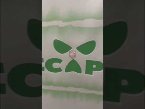 Kneecap (CELTIC) - Fan Concept - Kids
